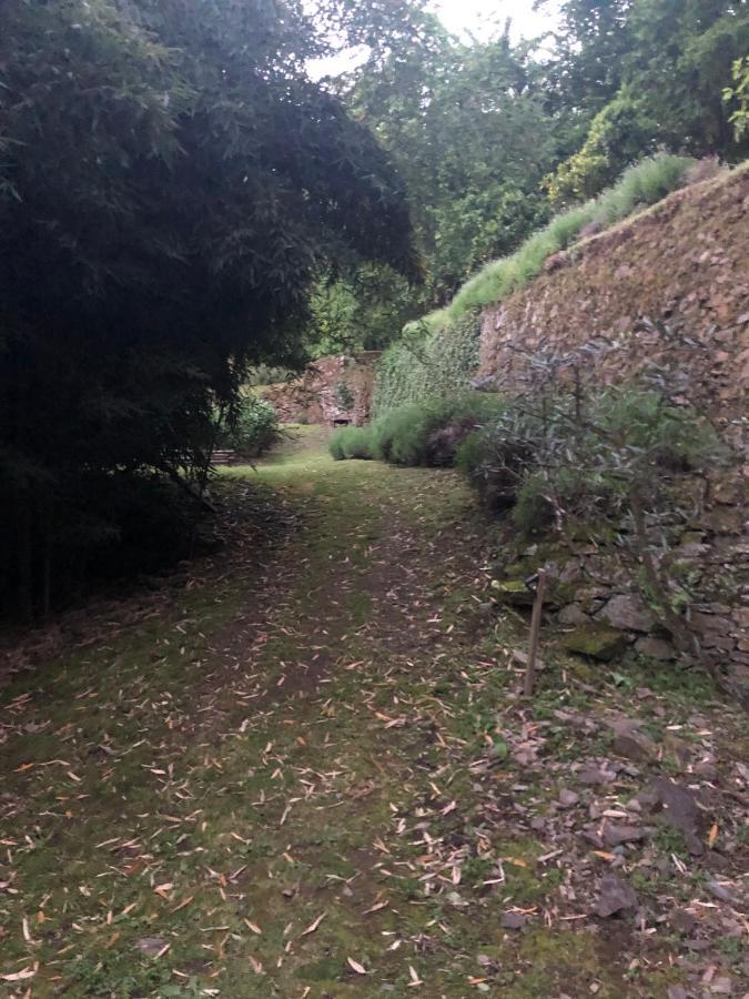Ribeira Delos *