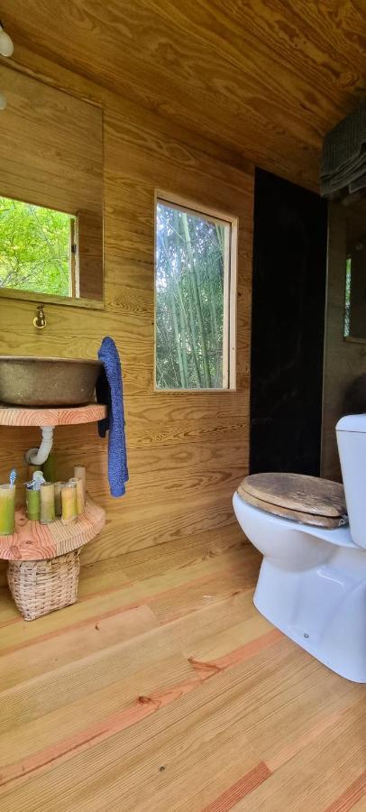 Lodge Ribeira Delos